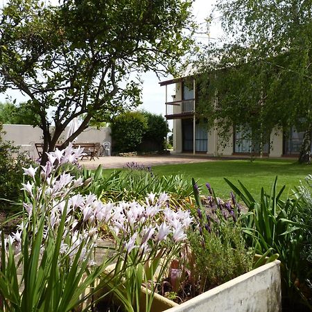 بينولا Coonawarra Motor Lodge المظهر الخارجي الصورة